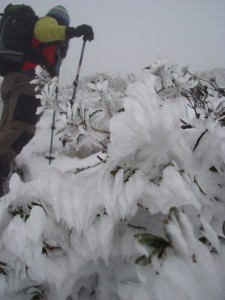 subiendo-al-pico-diente-de-orlu