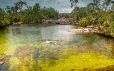 caño-cristales-colombia