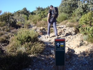 ascensión-pico-sui-desde-canoves