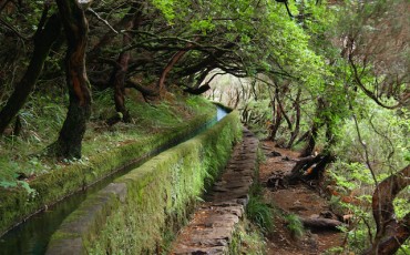 las-levadas-madeira