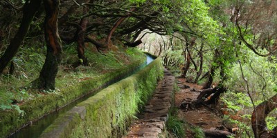 las-levadas-madeira