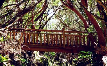 la-gomera-travesia-de-montaña