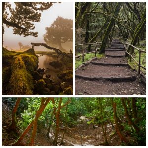 travesia-de-montaña-la-gomera