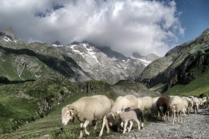 senda-de-los-contrabandistas