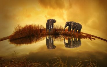 viajar-a-tailandia
