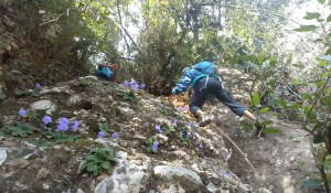 paso-equipado-castell-de-bocs