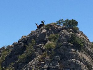 ferrata-serra-del-mestral