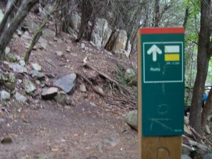 ruta-de-les-carboneres-y-avioneta-estrellada-del-montseny