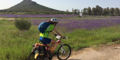 camino-de-santiago-vía-de-la-plata-camino-sanabres-en-bicicleta-14-dias