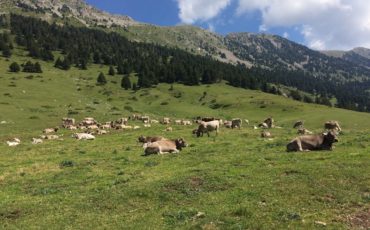 vuelta-al-pedraforca-en-bici026