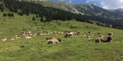 vuelta-al-pedraforca-en-bici026