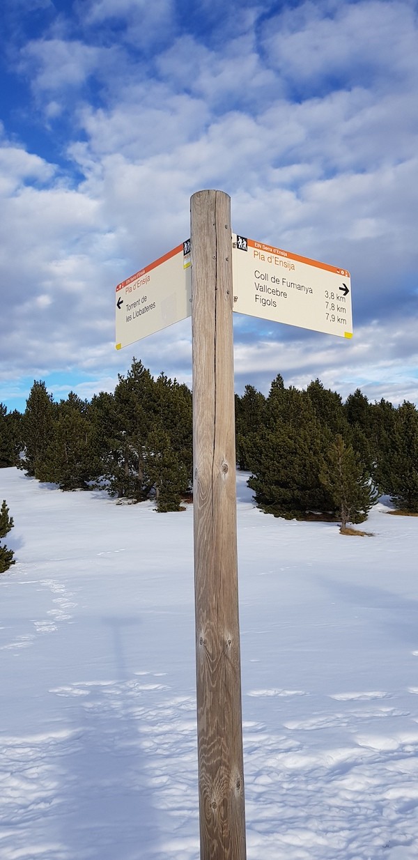 gallina-pelada-y-creu-de-ferro-con-nieve