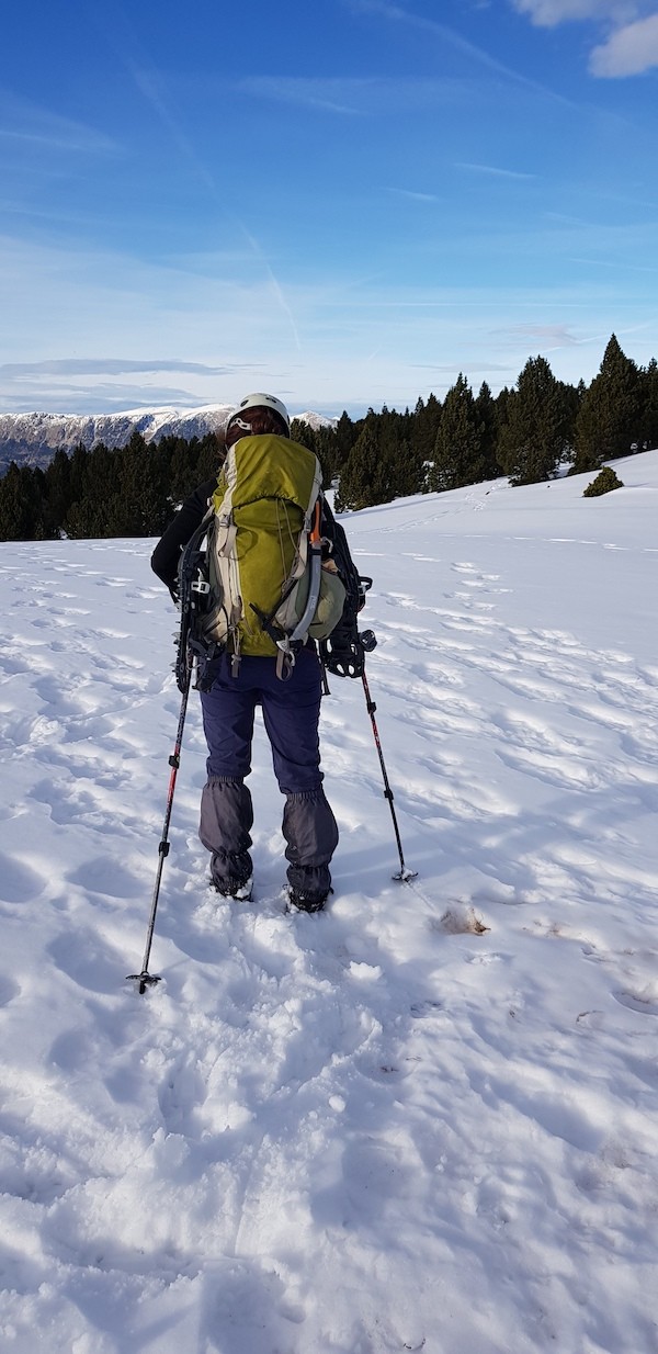 gallina-pelada-y-creu-de-ferro-con-nieve