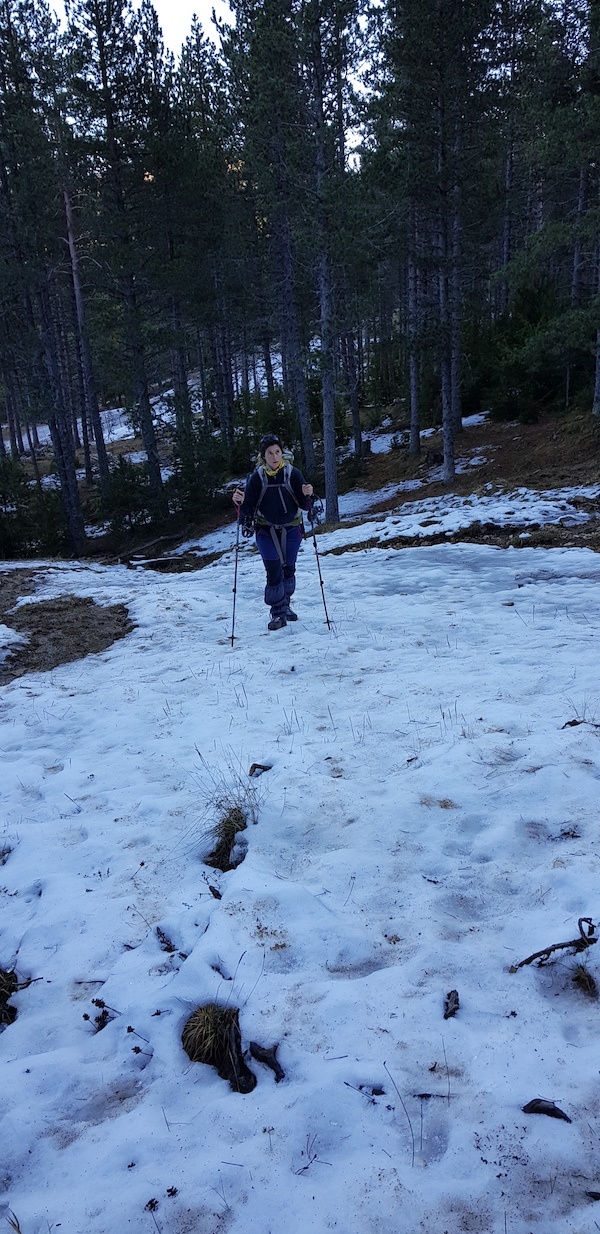 gallina-pelada-y-creu-de-ferro-con-nieve