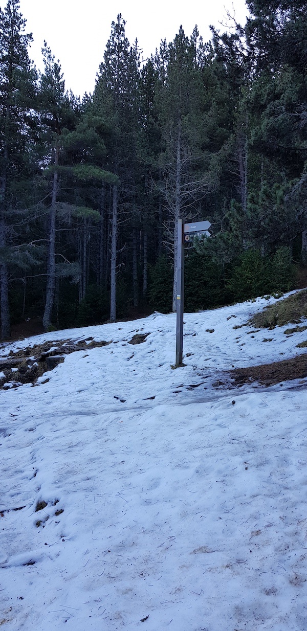 gallina-pelada-y-creu-de-ferro-con-nieve