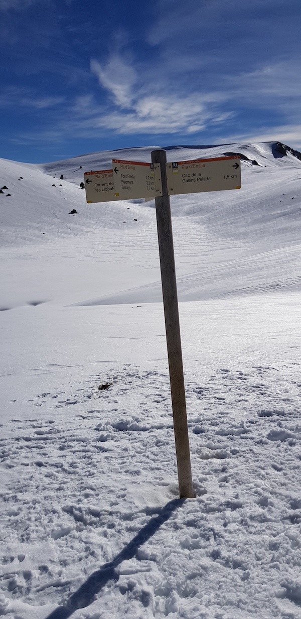 gallina-pelada-y-creu-de-ferro-con-nieve