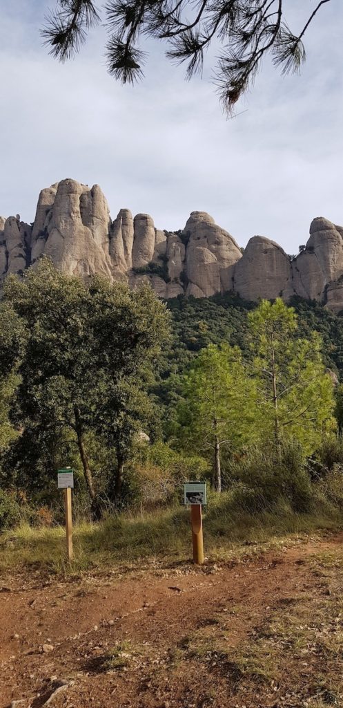 ruta-por-montserrat