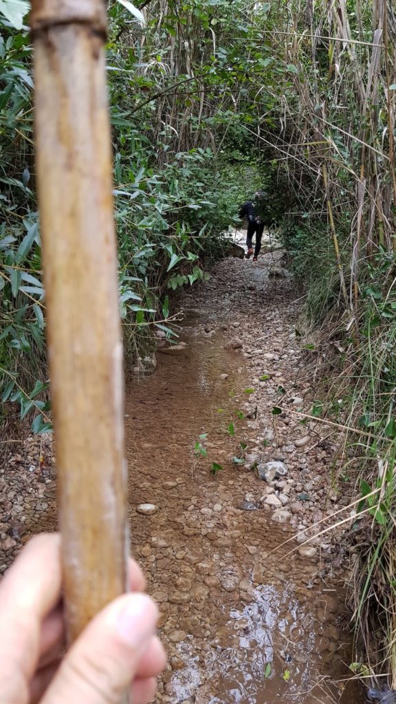 torrent_del_tortuguer-monistrol