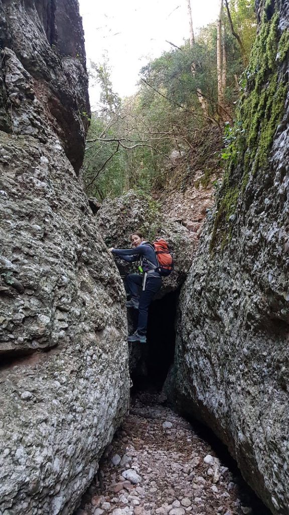 torrent-de-les-grutes-en-montserrat