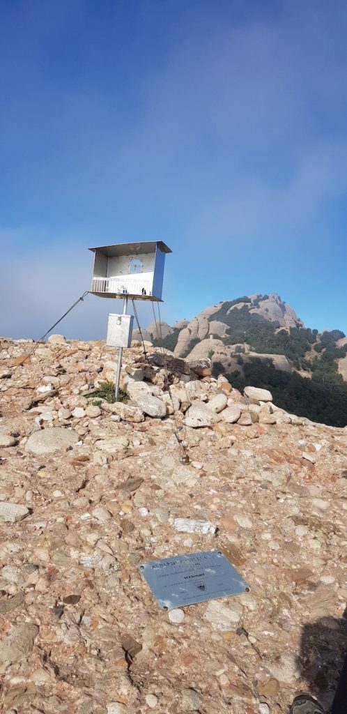 Albarda-Castellana-en-montserrat