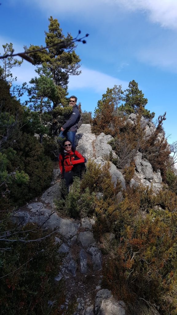 equipado-de-la-cresta-del-artic-vallcebre