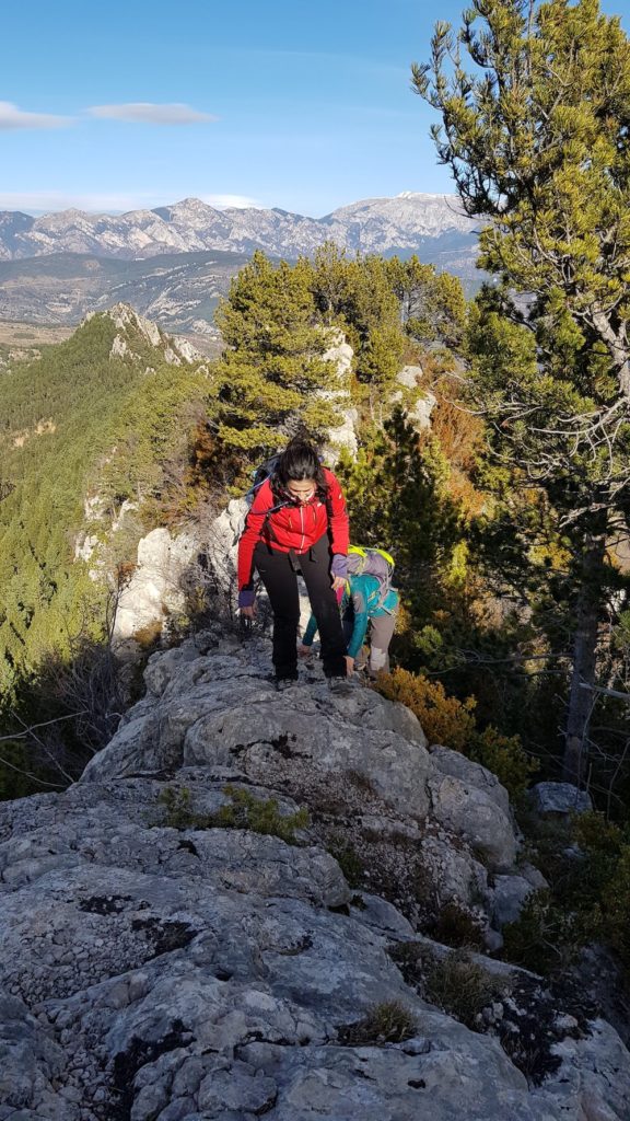 equipado-de-la-cresta-del-artic-vallcebre