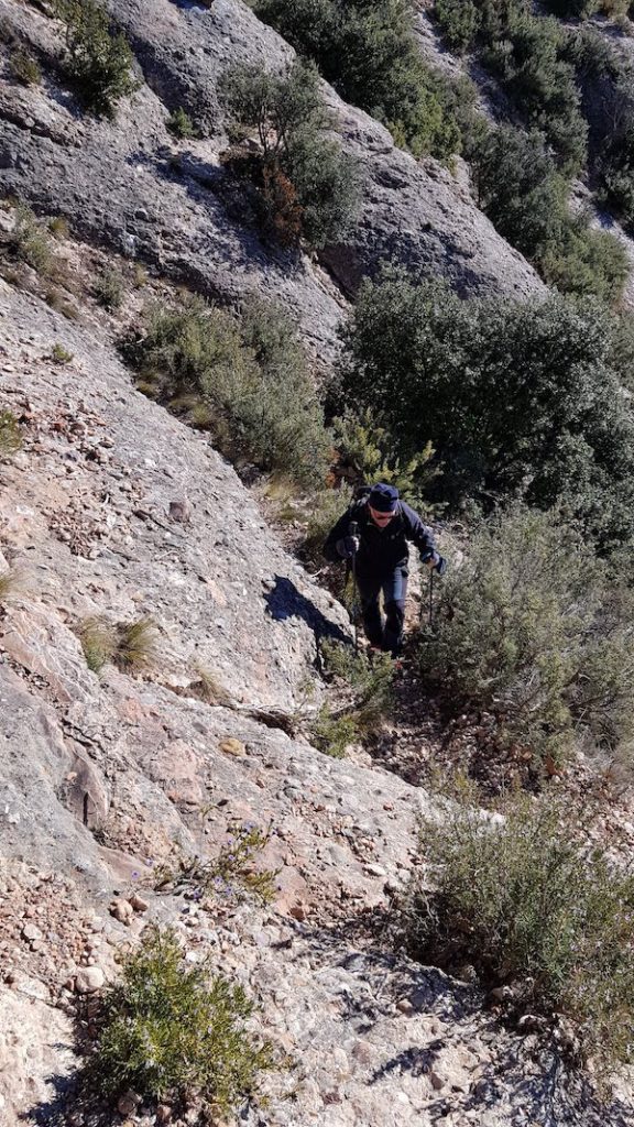 can-maçanana-foradada-coll-de-port-torrent-de-les-grutes-cova-arcada-els-pallers