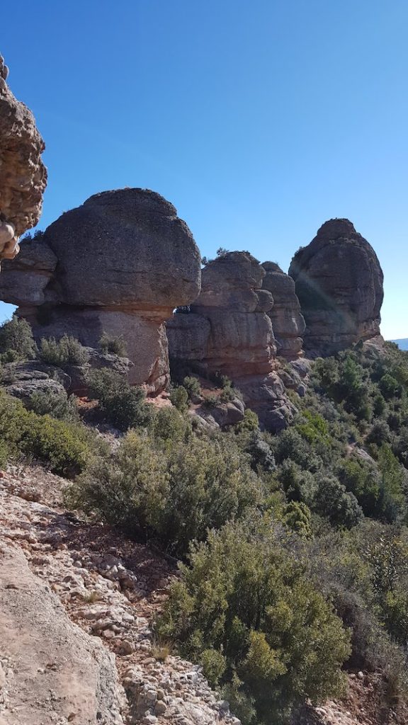 can-maçanana-foradada-coll-de-port-torrent-de-les-grutes-cova-arcada-els-pallers