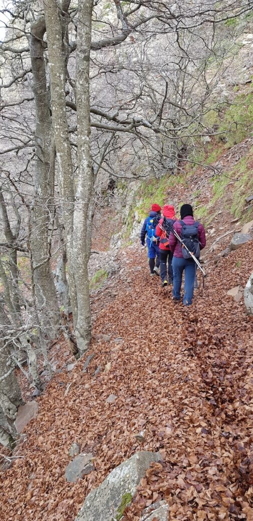 les-agudes-cresta-dels-castellet-montseny
