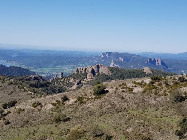 cogullo-de-turp