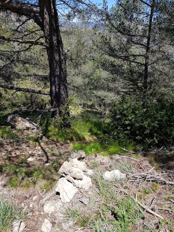cogullo-de-turp