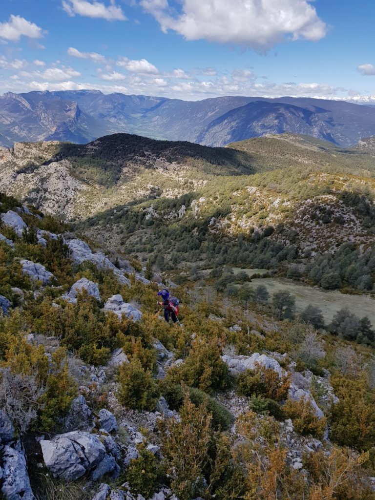 roc-del-galliner-desde-alinya