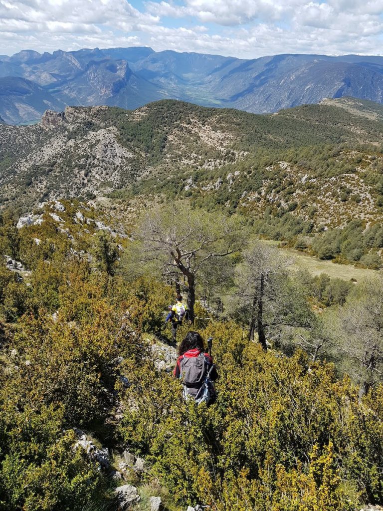 roc-del-galliner-desde-alinya