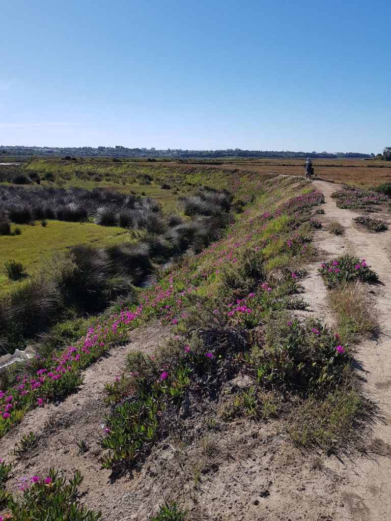 costa-vicentina-y-algarve-en-bicicleta