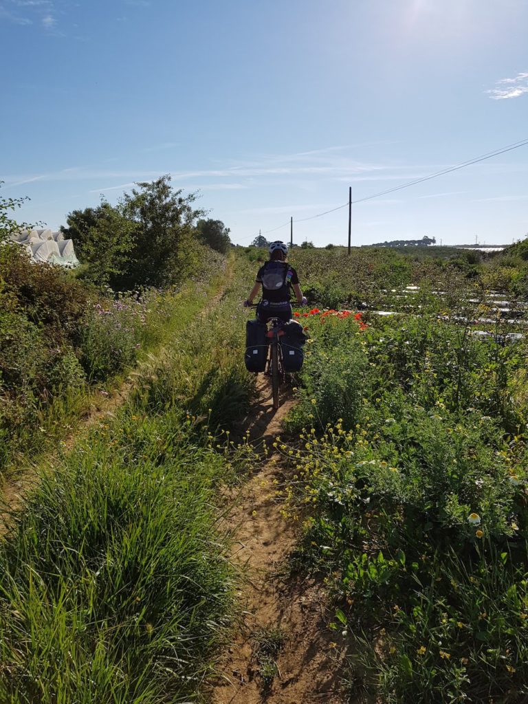 costa-vicentina-y-algarve-en-bicicleta