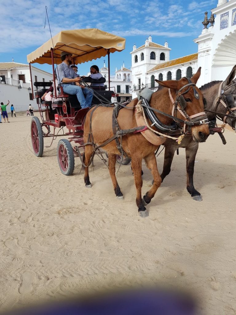 costa-vicentina-y-algarve-en-bicicleta