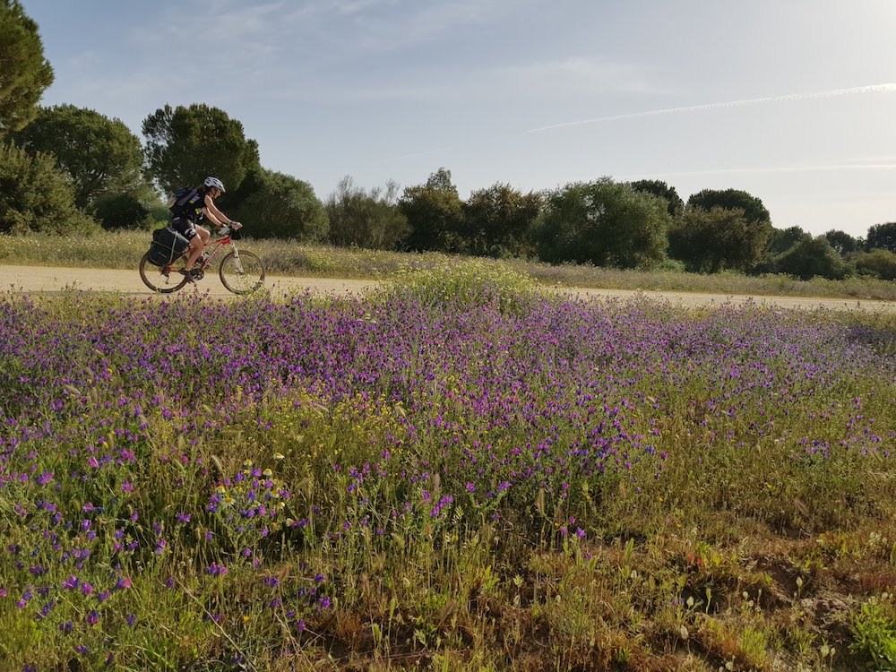 costa-vicentina-y-algarve-en-bicicleta