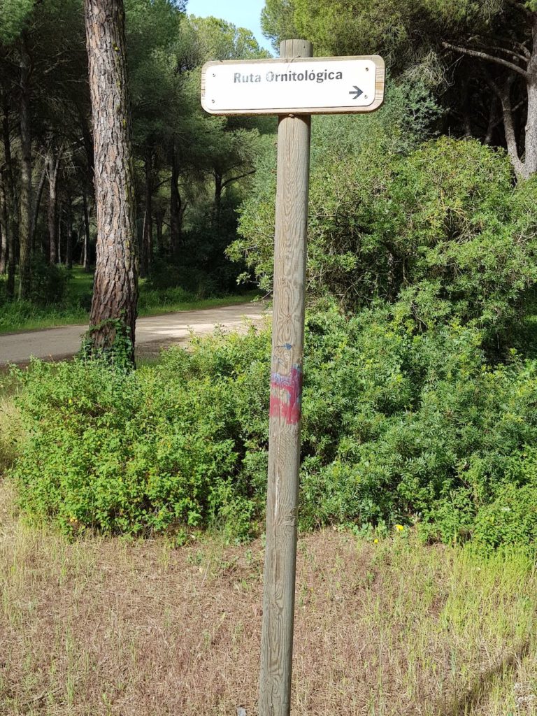 costa-vicentina-y-algarve-en-bicicleta