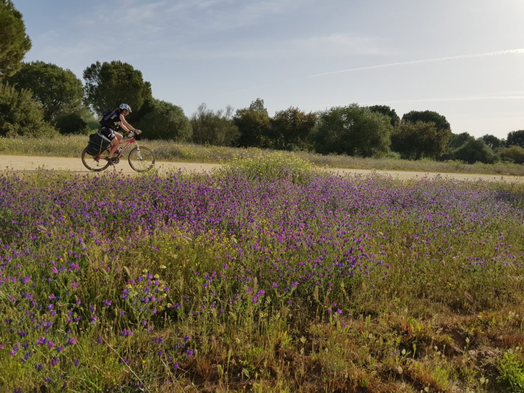 costa-vicentina-y-algarve-en-bicicleta