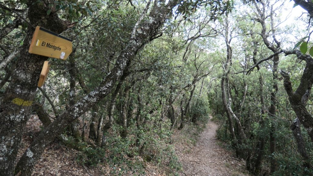 Montgros en Montserrat