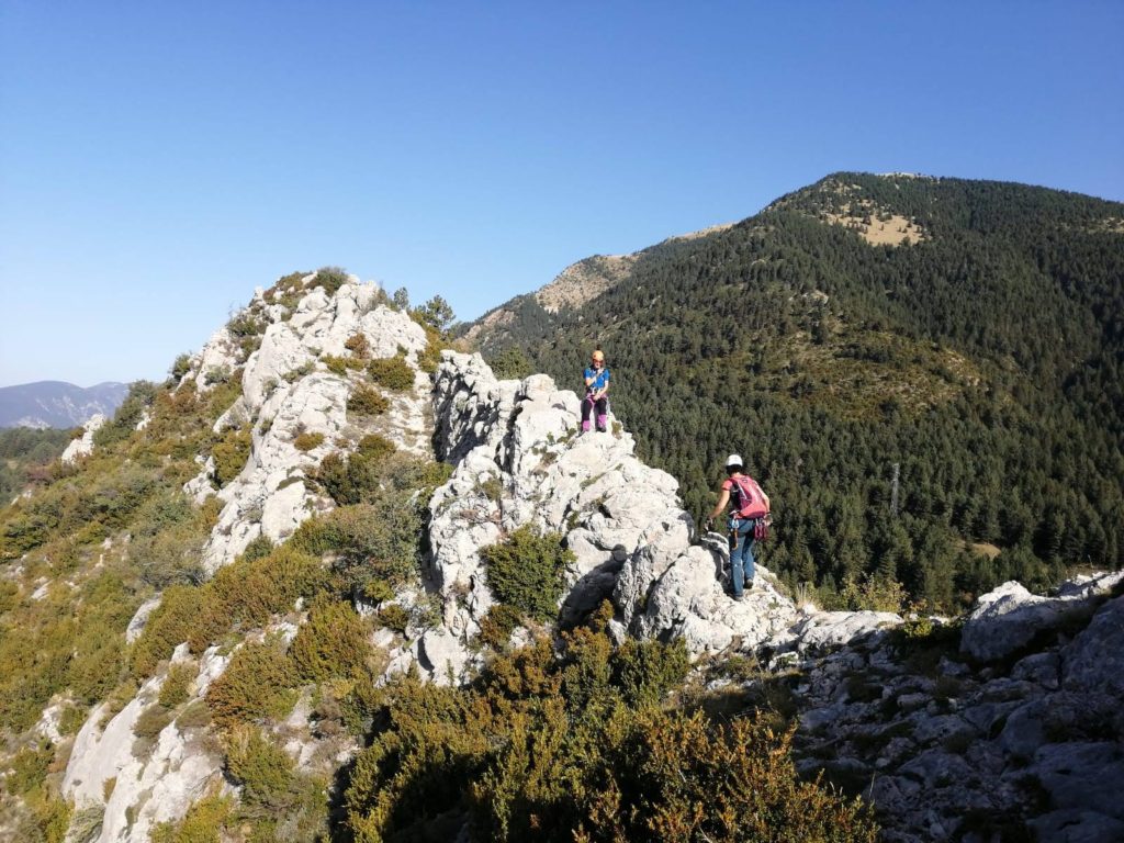 cresta-de-peguera-en-serrat-de-les-eres