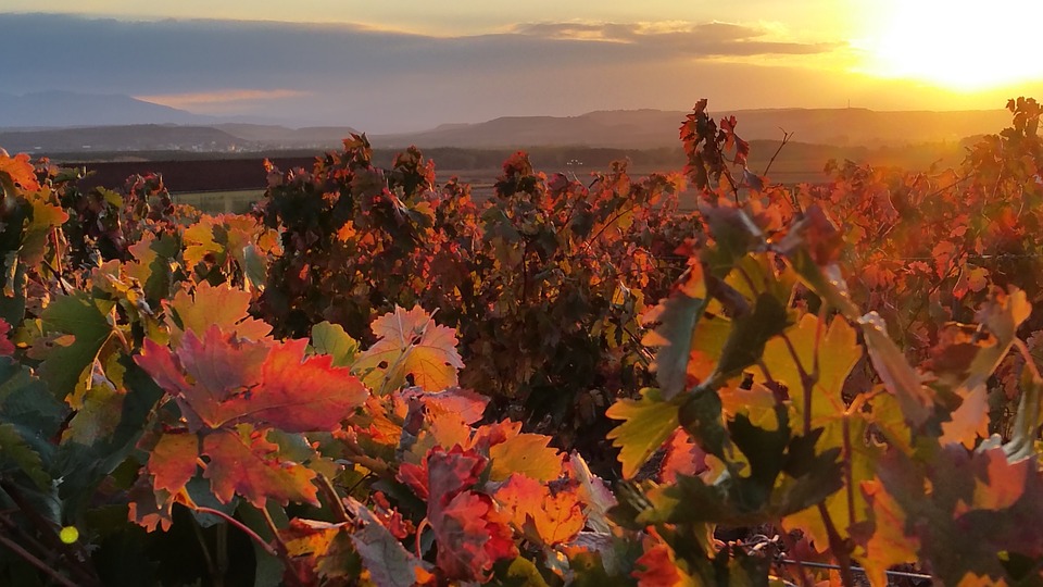 los-mejores-destino-para-visitar-en-otoño