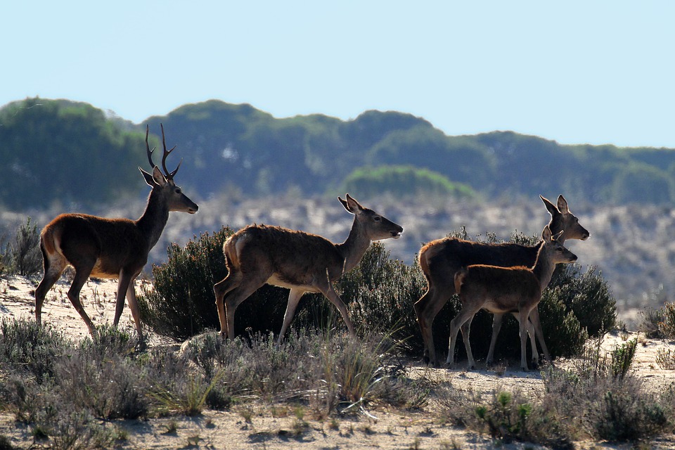 los-mejores-destino-para-visitar-en-otoño