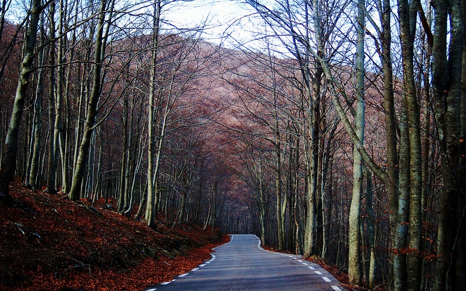 los-mejores-destino-para-visitar-en-otoño