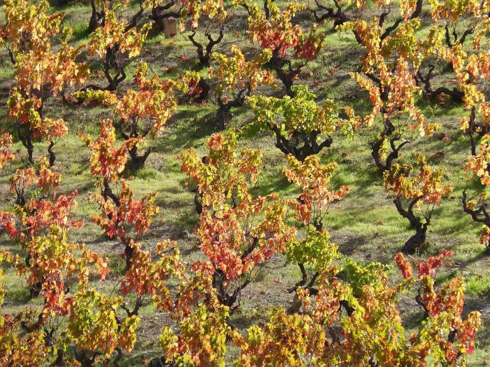 los-mejores-destino-para-visitar-en-otoño