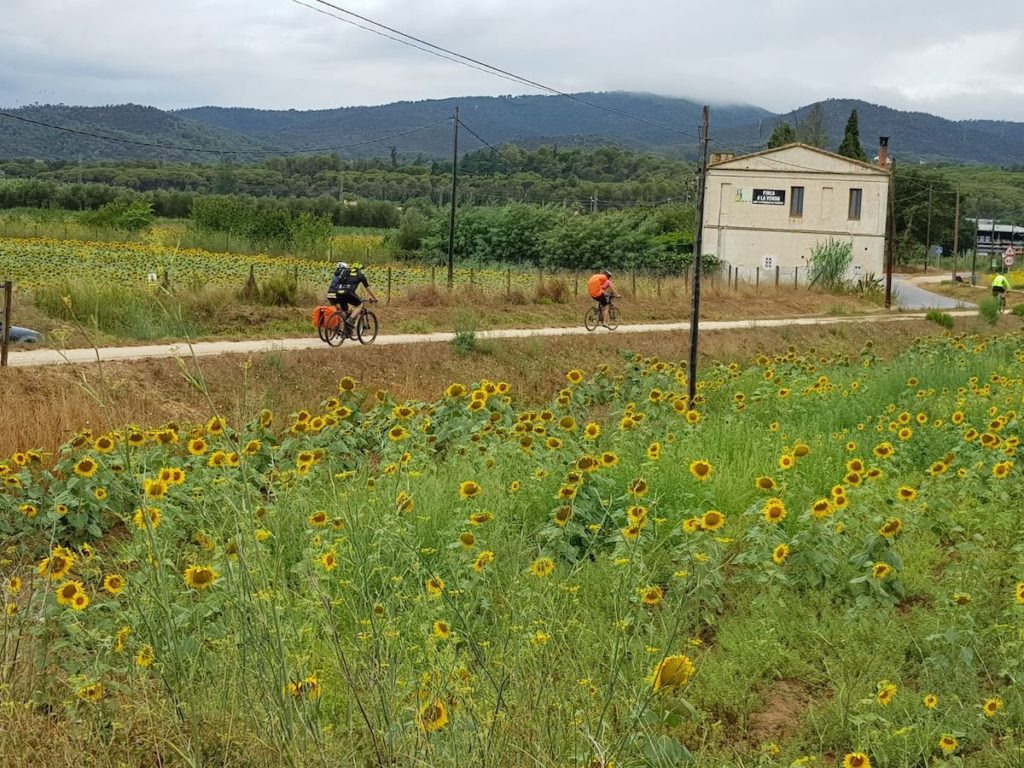 pirinexus-en-bicicleta