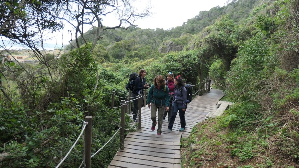 Tsitsikamma Mouth Trail