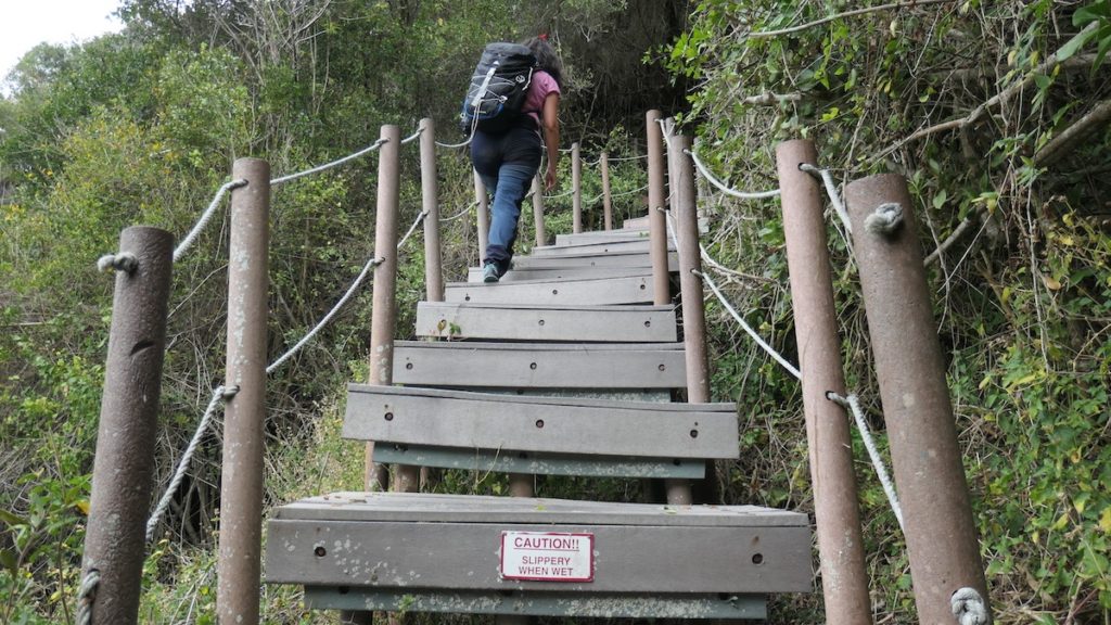 Tsitsikamma Mouth Trail