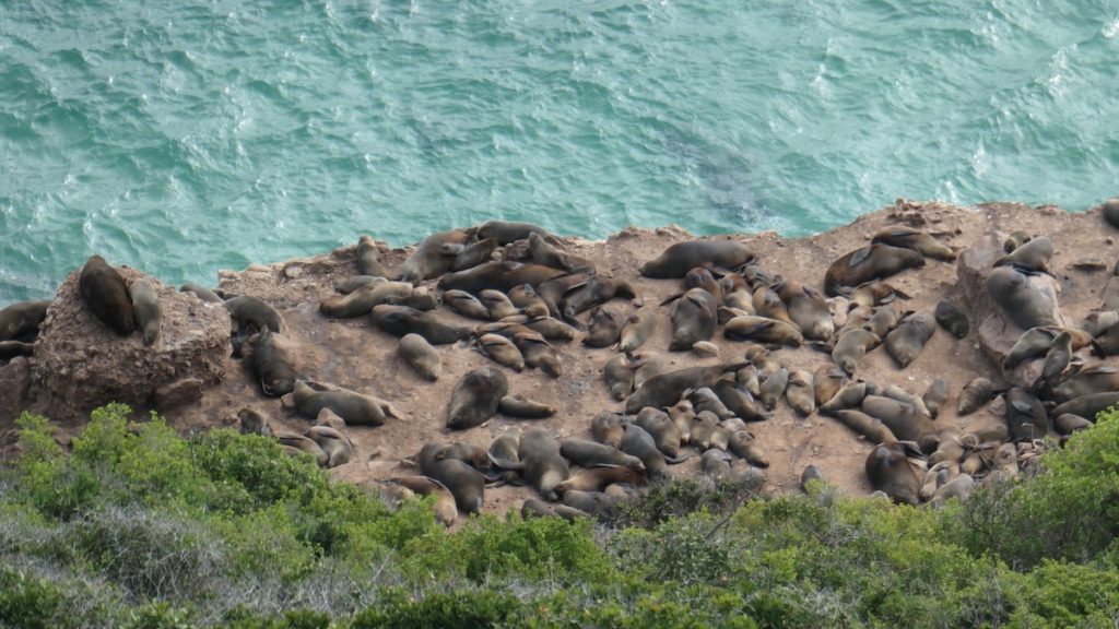 parque_natural_robberg_ruta_jardin_sudafrica