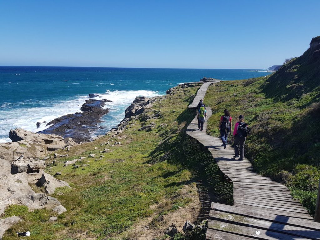 parque_natural_robberg_ruta_jardin_sudafrica